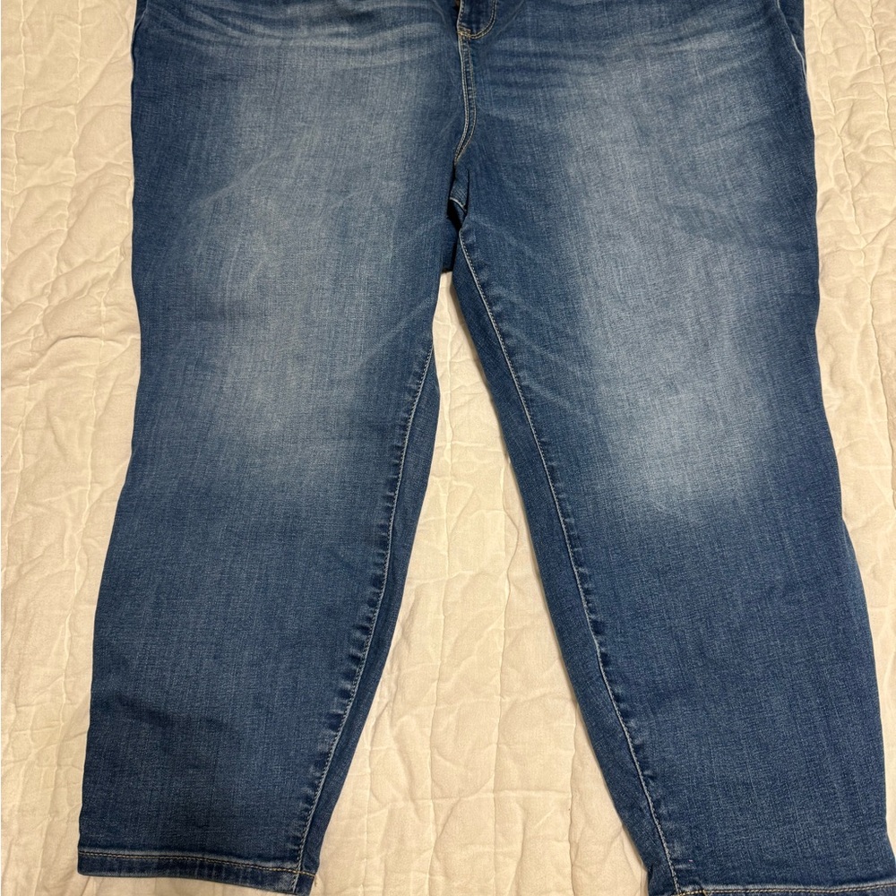 torrid Classic Medium Blue Jeggings